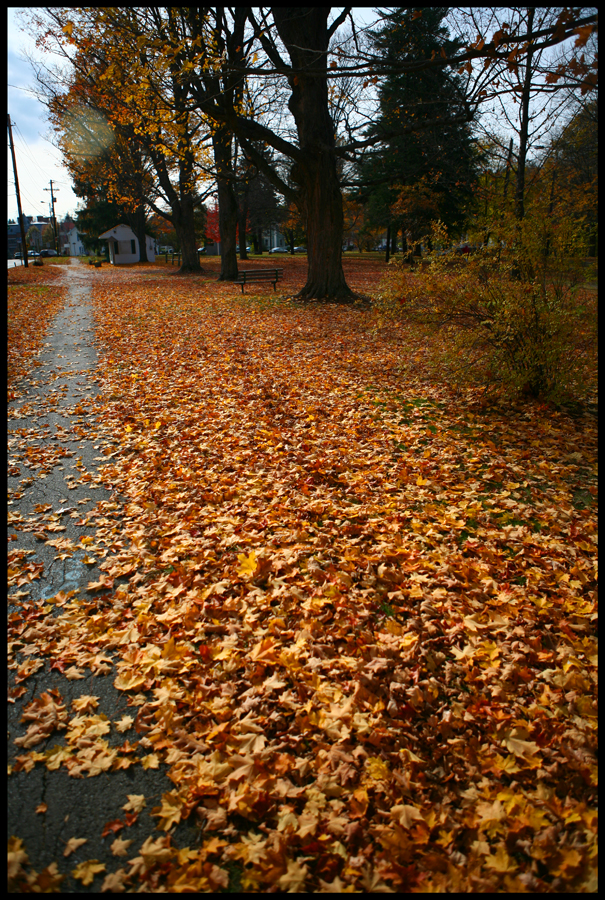 An Autumn Walk